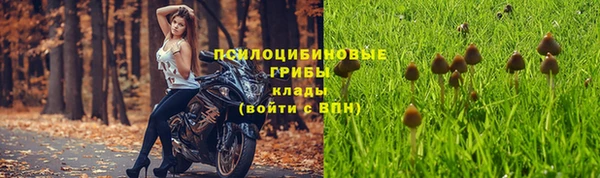 кокаин колумбия Алексин